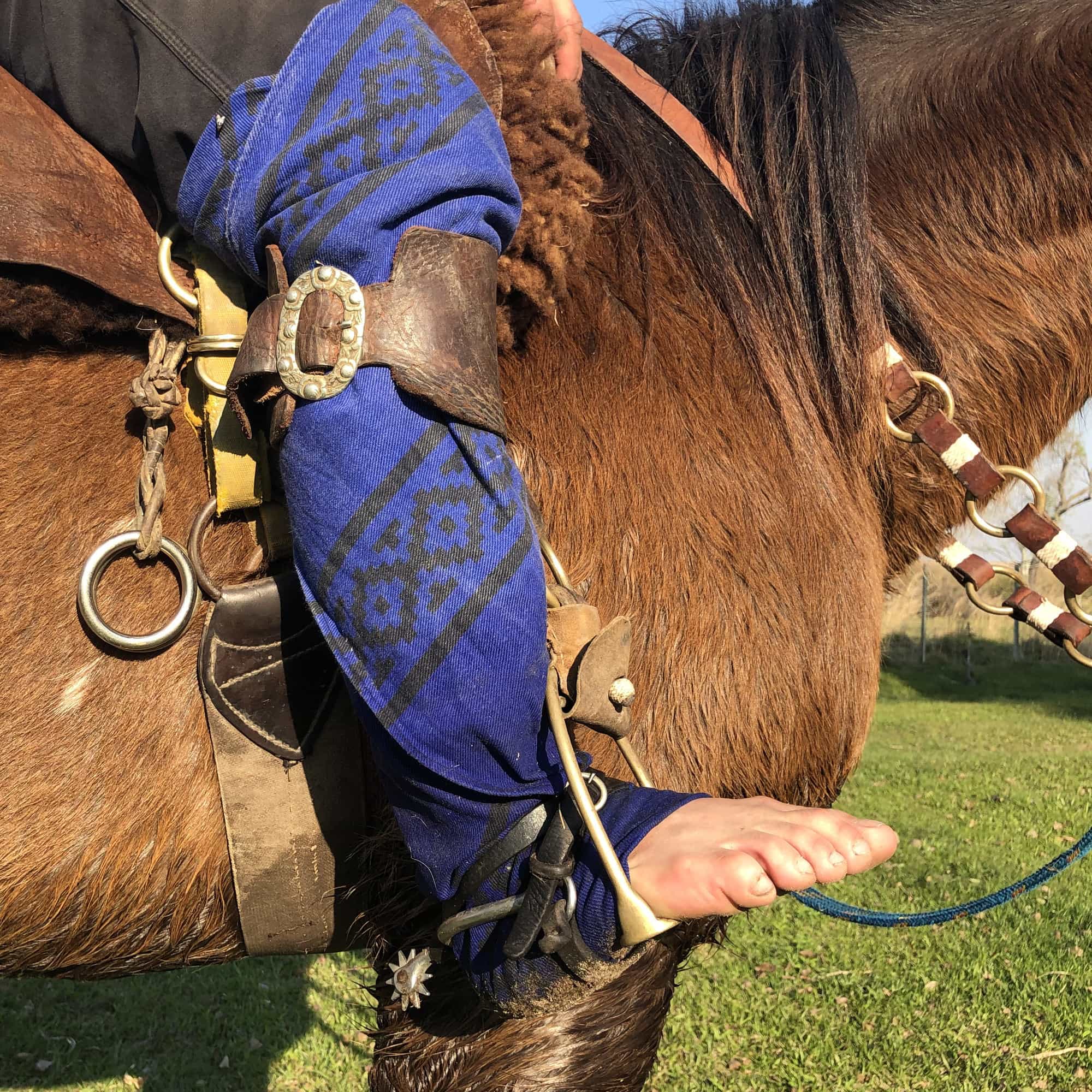 foto de un gaucho vestido con ropa tradicional sobre un caballo