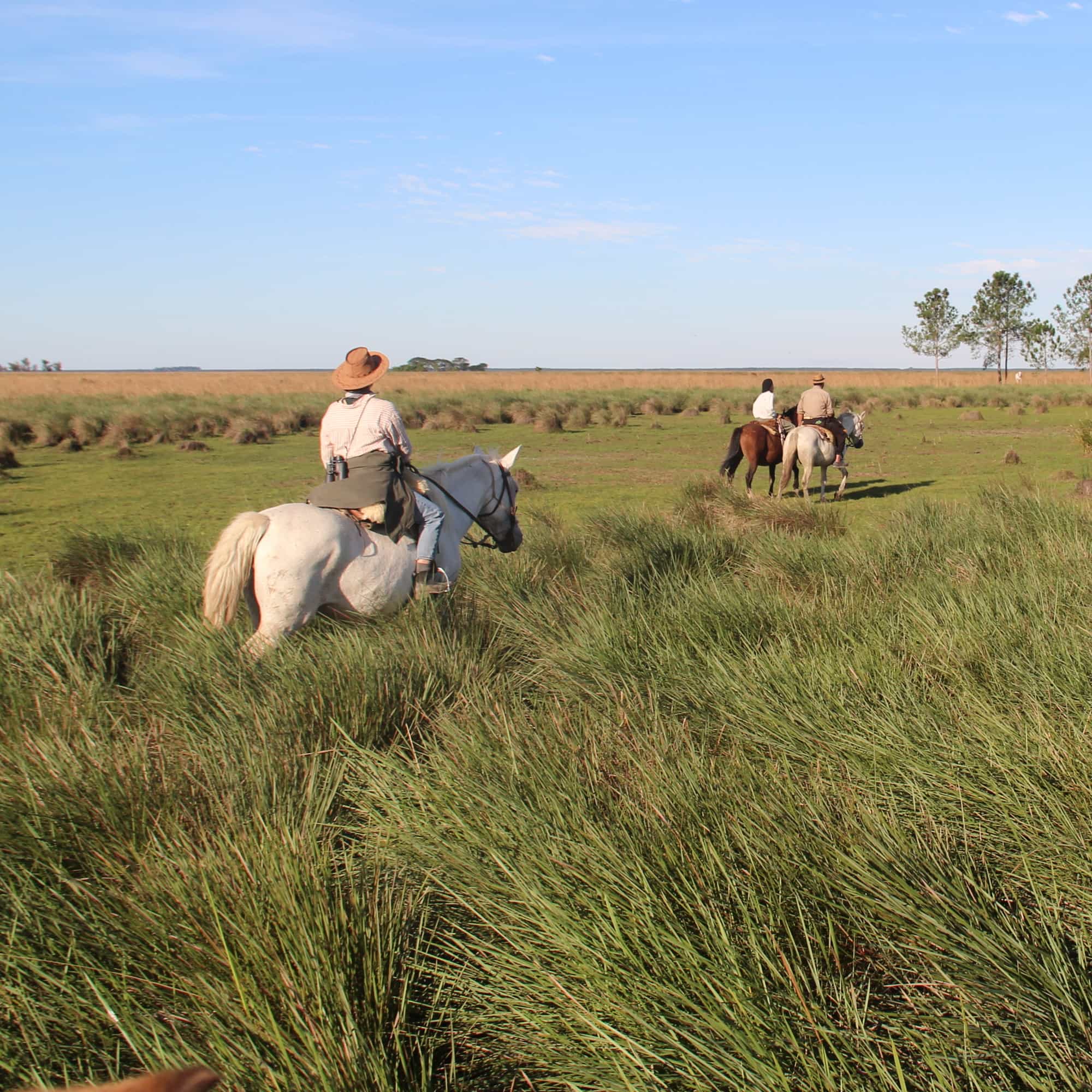 photo of horseback riding in tall grass