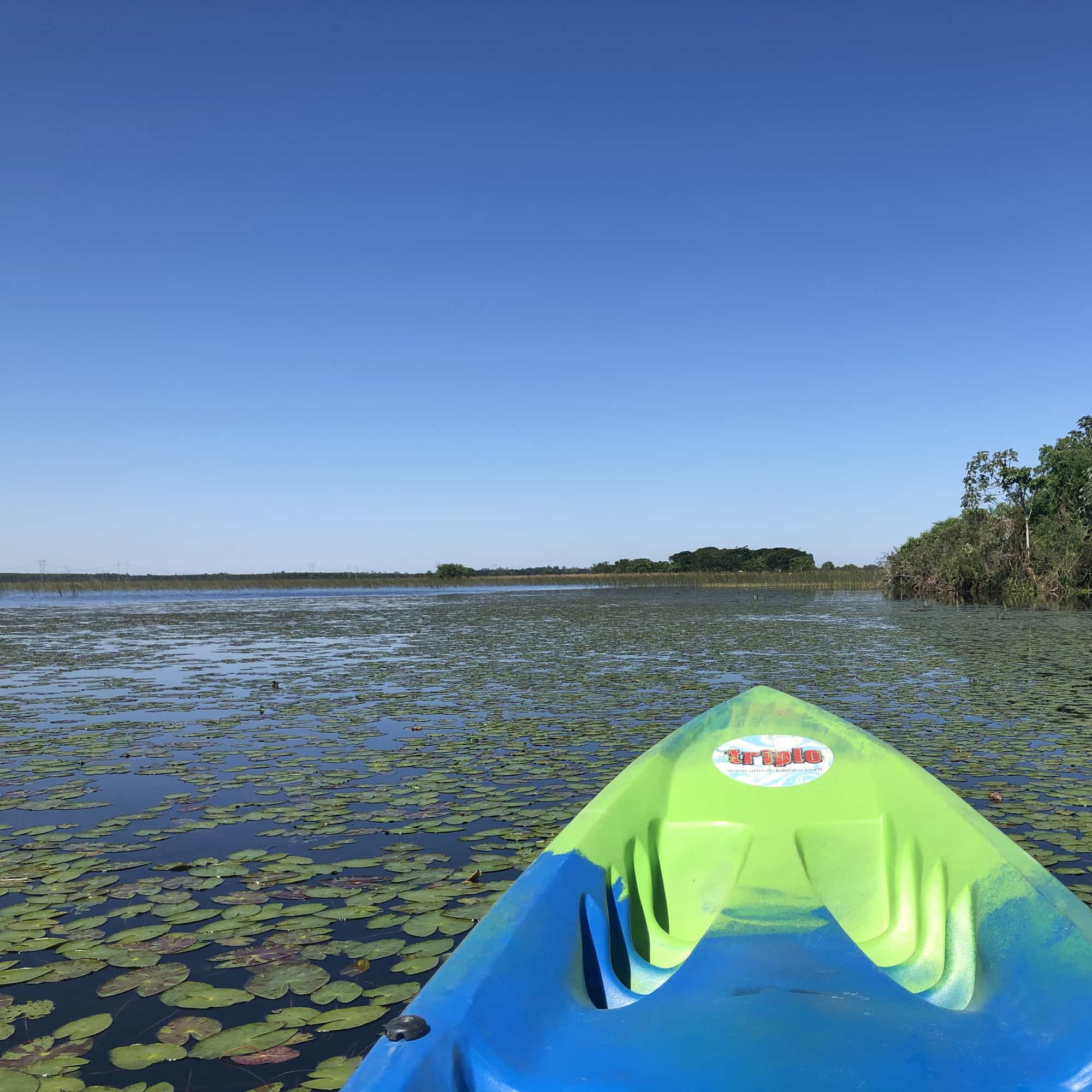 foto de la laguna desde el kayak