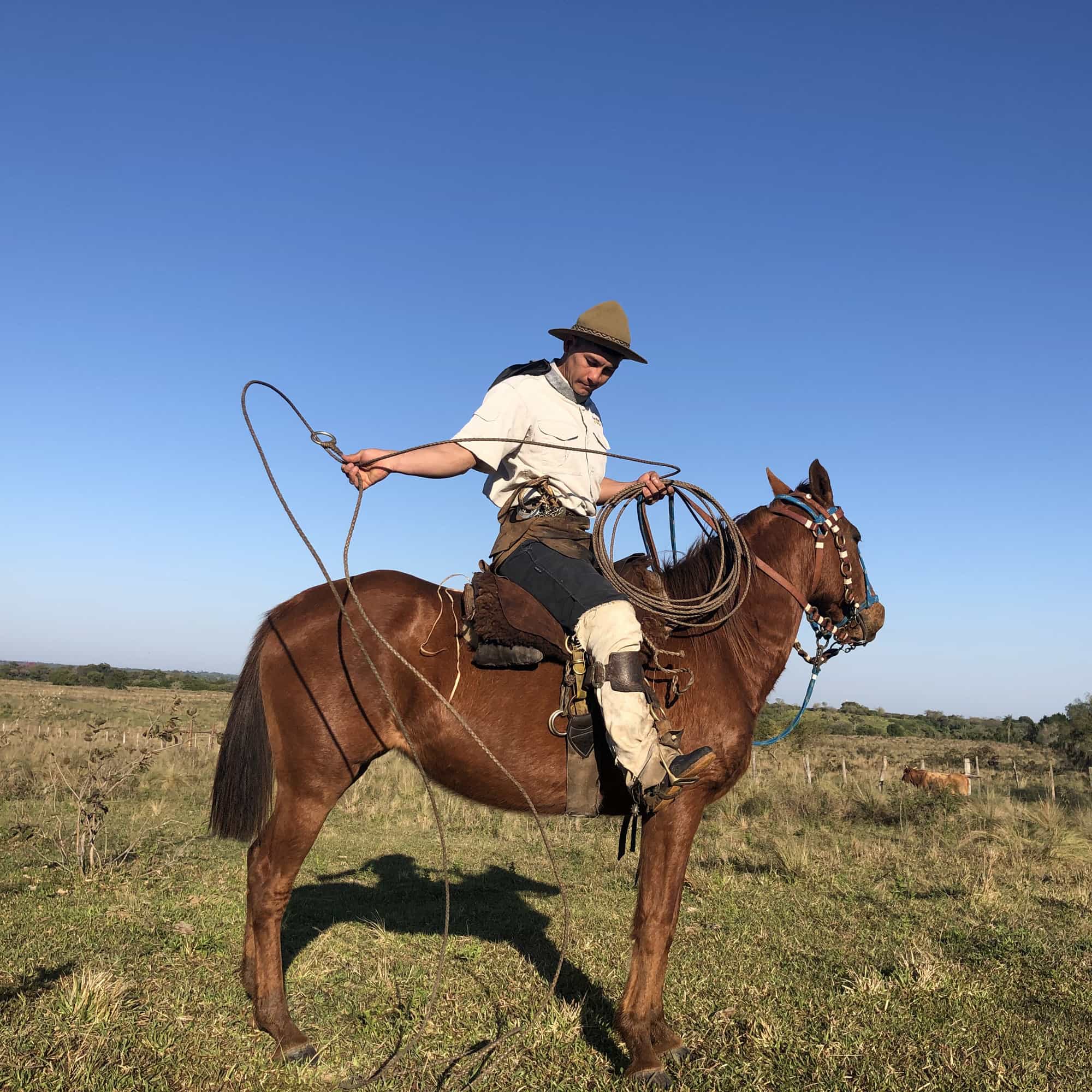foto de un gaucho manejando el lazo
